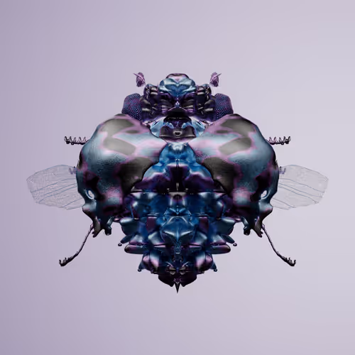 Chrysalism Insect