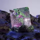 3504