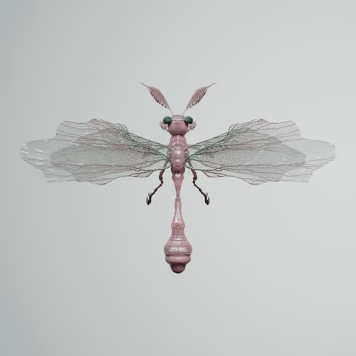 Anisopteraelphis manentris