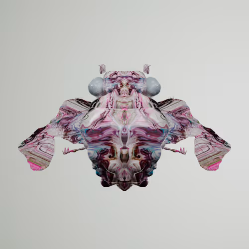 Chrysalism Insect