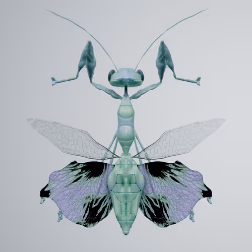 Mantodeaodon albivo