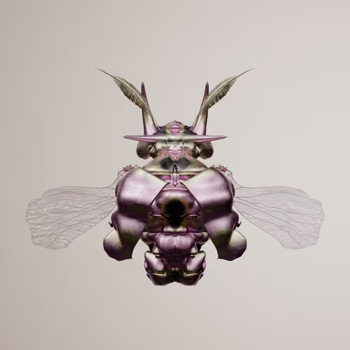 Chrysalism Insect