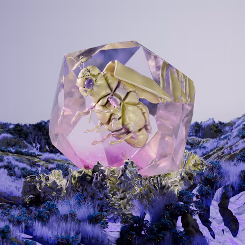 Chrysalism Insect