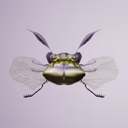 Coleopterapinguis volitythrus