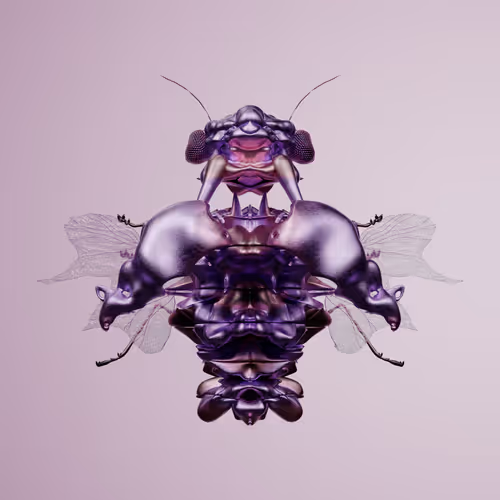 Chrysalism Insect