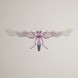 Anisopterapinguis sylviceros