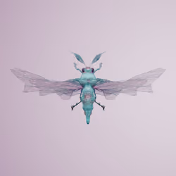 Anisopterapinguis serveri