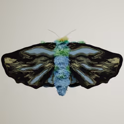 Lepidopteraproceritas papan