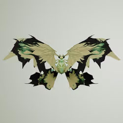 Rhopaloceracerritulus parvuus