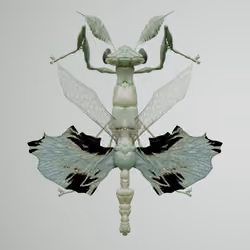 Mantodeaanta binozoa