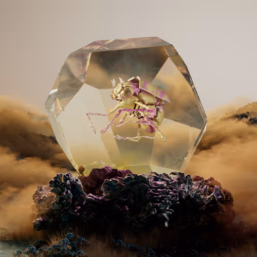 Chrysalism Insect
