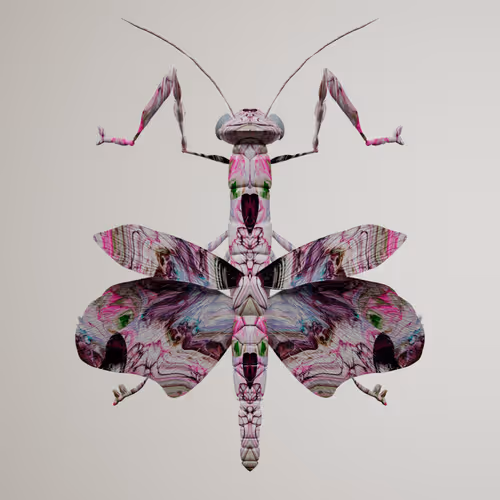 Chrysalism Insect