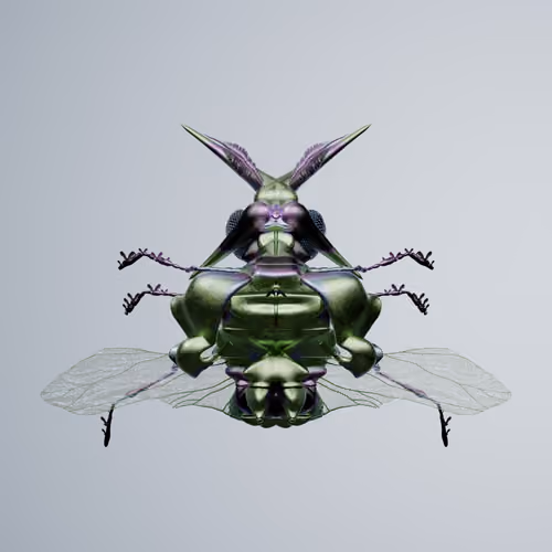 Coleopterainidia delicas