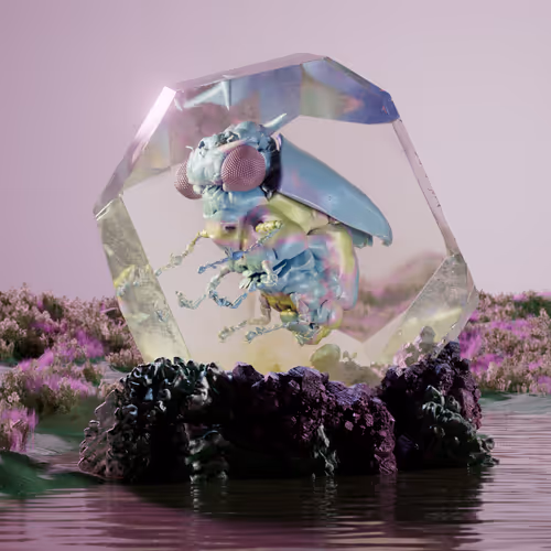 Chrysalism Insect