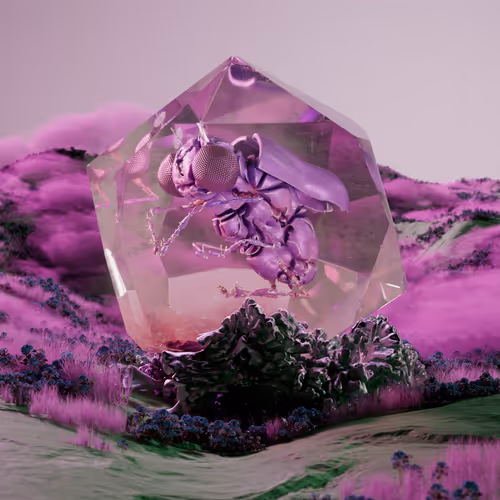 Chrysalism Insect