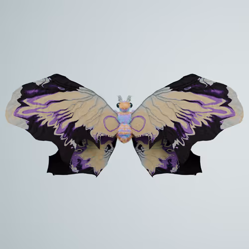 Chrysalism Insect