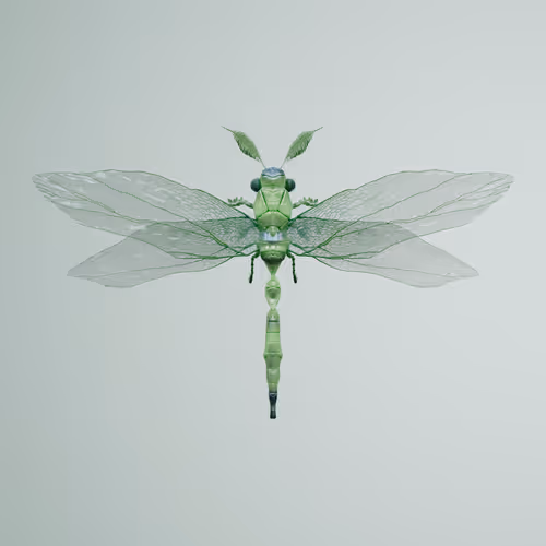 Anisopteraanta corbolor