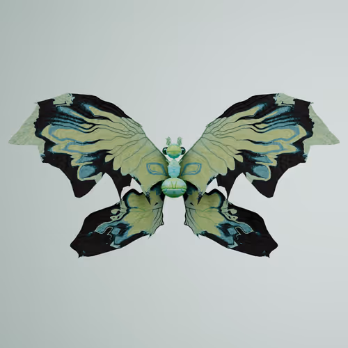 Chrysalism Insect