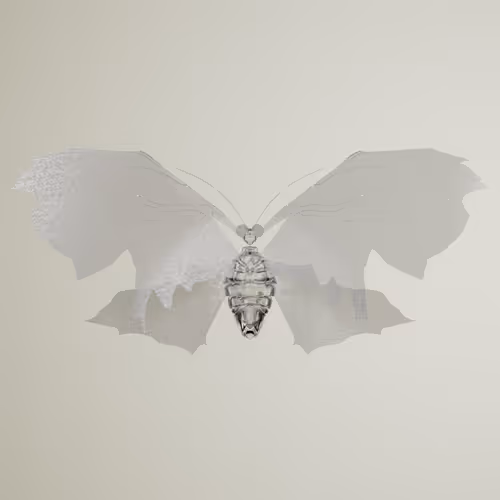 Chrysalism Insect