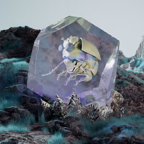 Chrysalism Insect