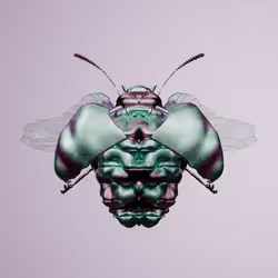 Coleopterapinguis brachalus
