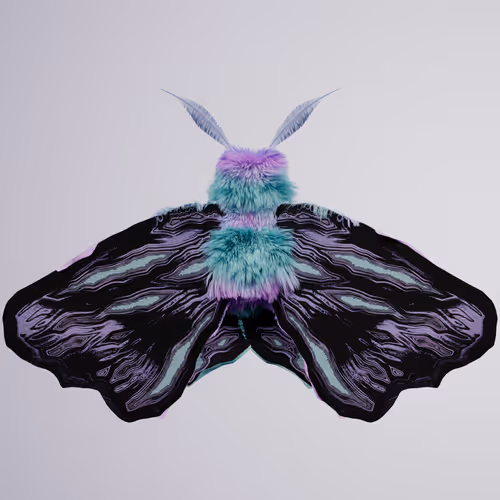 Chrysalism Insect