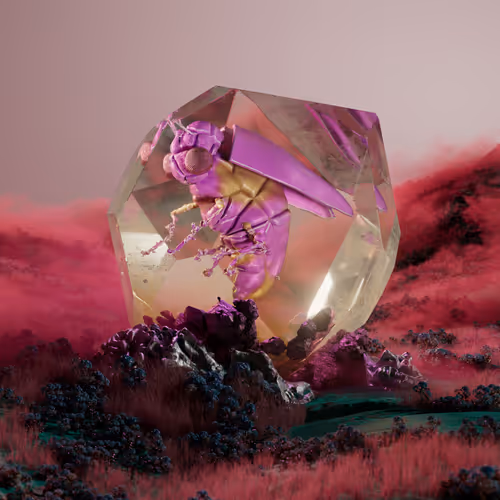 Chrysalism Insect