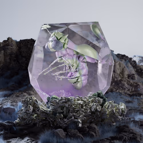 Chrysalism Insect