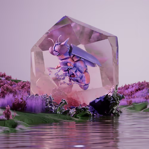 Chrysalism Insect