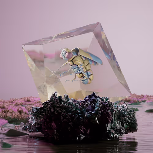 Chrysalism Insect