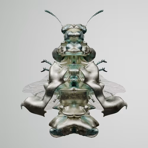 Chrysalism Insect