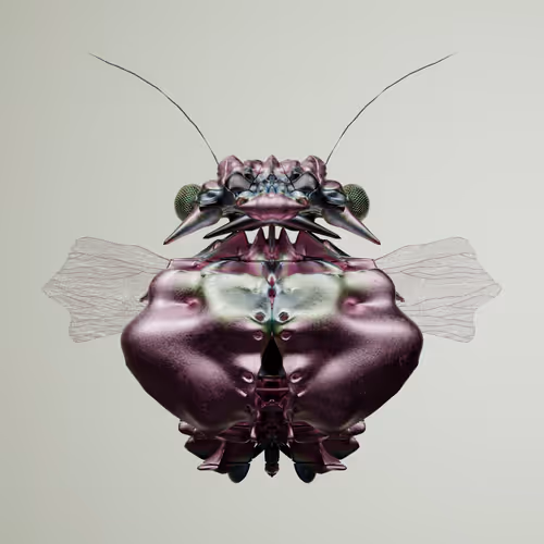 Chrysalism Insect