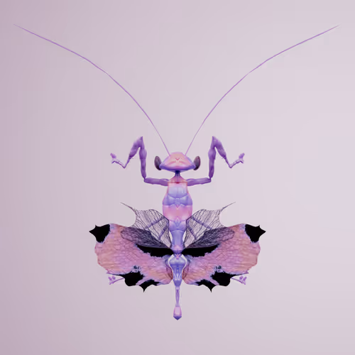 Chrysalism Insect
