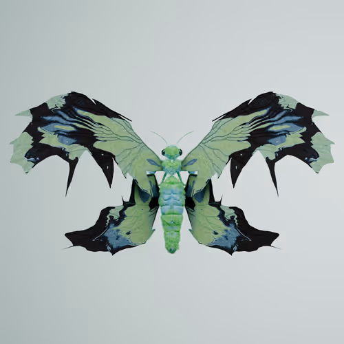 Chrysalism Insect