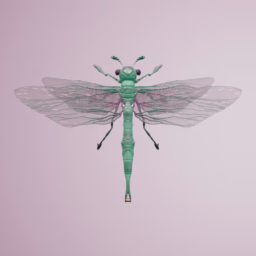 Anisopteraproceritas rubecizii
