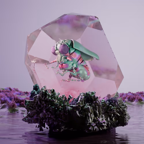 Chrysalism Insect