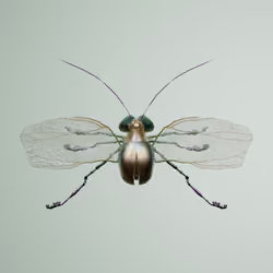 Coleopteraebus geoffrolophus
