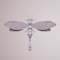Anisopteravivida orodytes