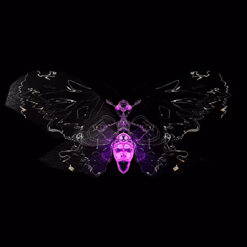 Chrysalism Insect
