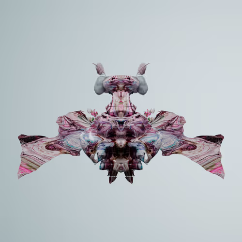 Chrysalism Insect