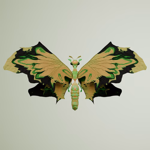 Rhopaloceraproceritas feraeus