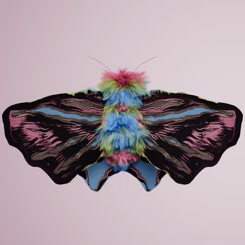 Lepidopteravivida alpiceps