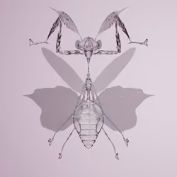 Mantodeapinguis typyurus