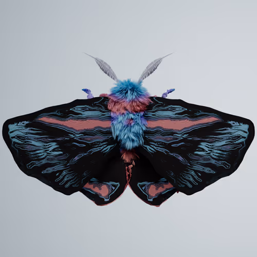 Chrysalism Insect
