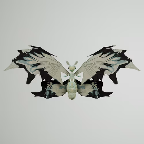Chrysalism Insect