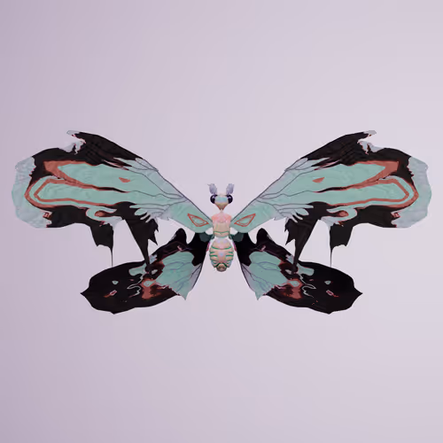 Chrysalism Insect