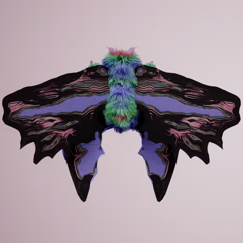 Chrysalism Insect