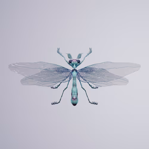 Chrysalism Insect