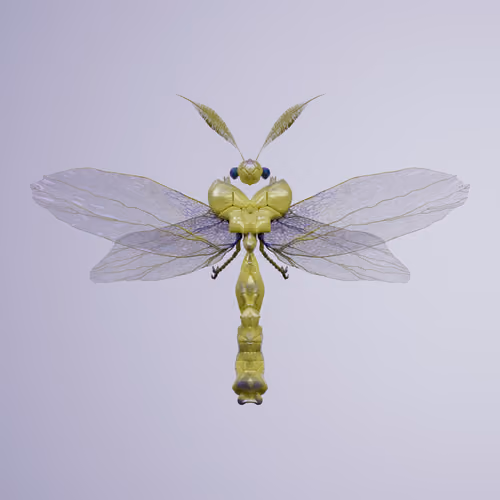 Anisopteracerritulus vulpera