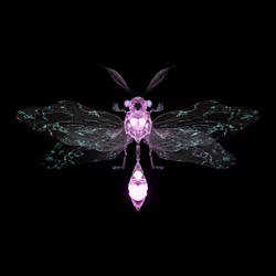 Anisopteraigator tetrans
